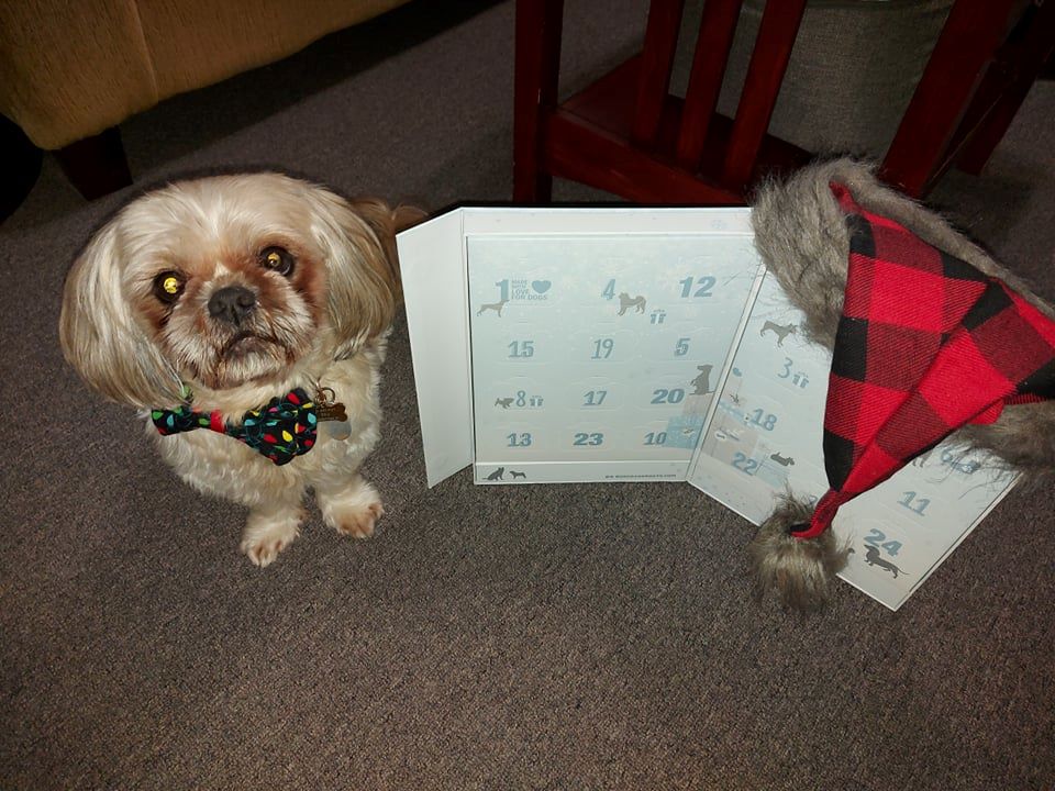 Bosco & Roxy’s 24 Dog Days of Christmas Advent Treat Calendar Today's