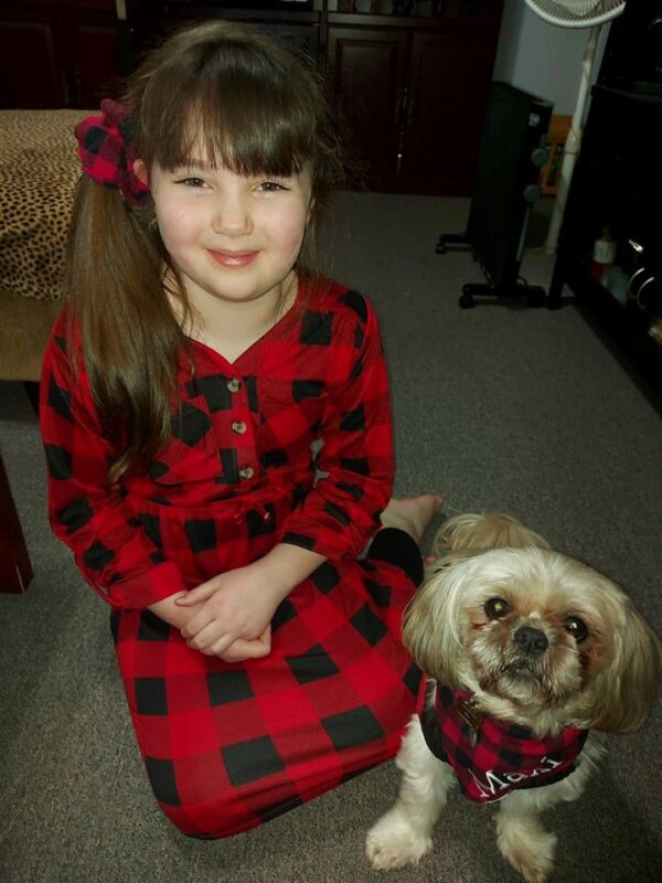 Giant Tiger Deck the Halls Today's Woman, Articles, Product Reviews