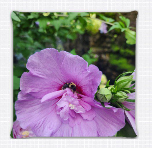 Why Personalized Pillows are a Home Decor Game-Changer 