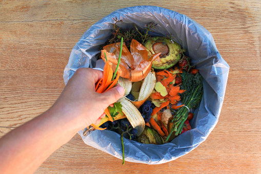 Domestic waste for compost from fruits and vegetables. Woman throws garbage.