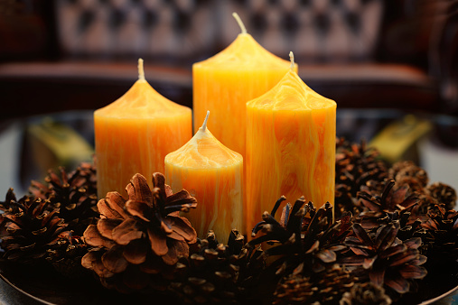 Four yellow beeswax candles with fir cones
