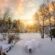 PlaySnow Igloo: Experience Fun and Adventure