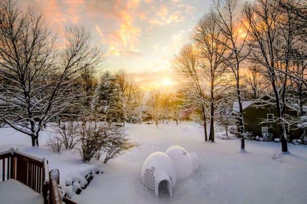 PlaySnow Igloo