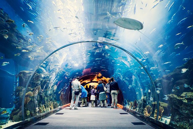 Dubai Aquarium