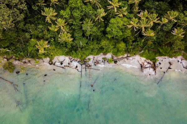 5 kid-friendly destinations to plan your family holiday