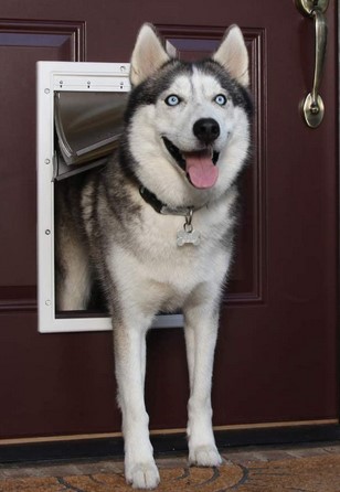 pet door