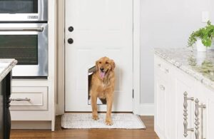 Types of Pet Doors