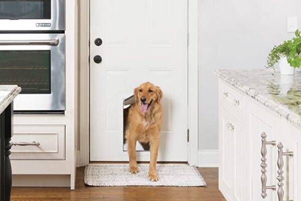 3 Types of Pet Doors: Which One is Best for Your Home