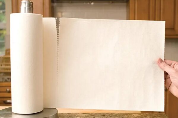 3 Reasons Why You Should Switch To Bamboo Paper Towel