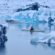 The Supreme Importance Of Safety in Extreme Sports