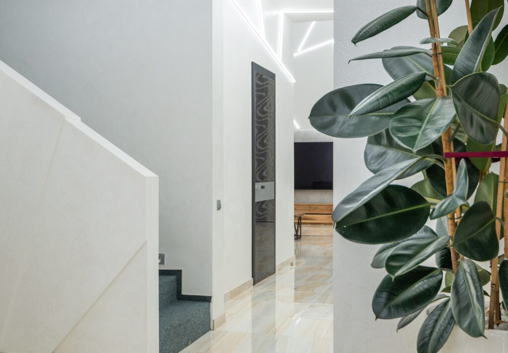 hallway of house