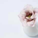 Why You Need to Maintain and Restore Your Vaginal pH Levels