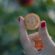 Factors to Check Before Playing Crypto Slots at Any Casino