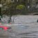 Does Auto Insurance Cover Flood Damage?