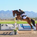 Best Horse Riding Advice For Women Riders