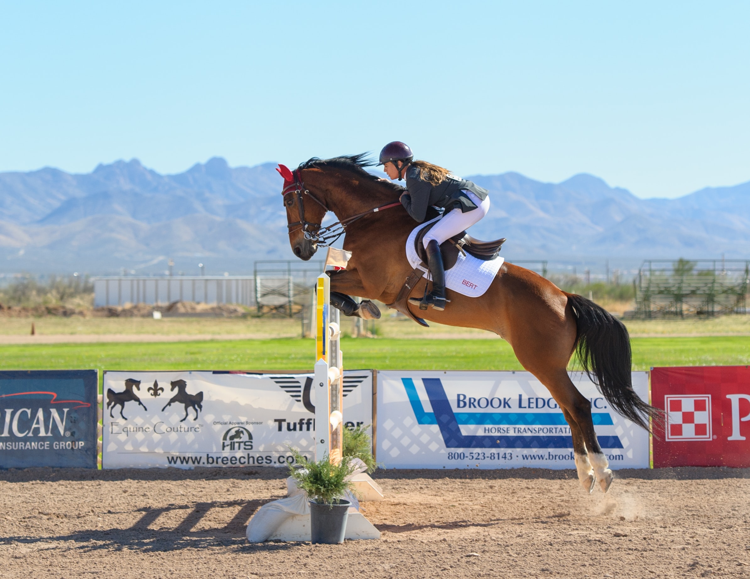 Best Horse Riding Advice
