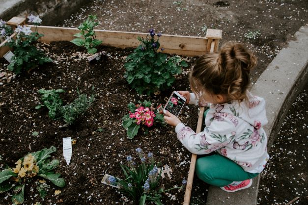 family garden