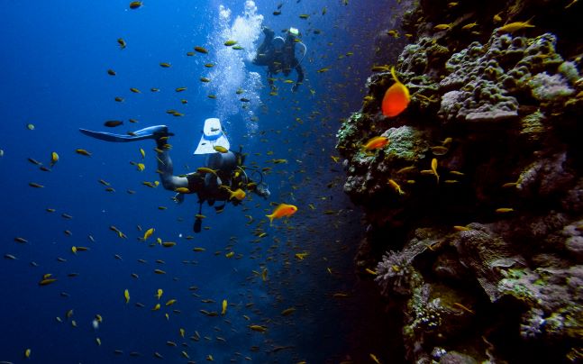 Ocean Activities