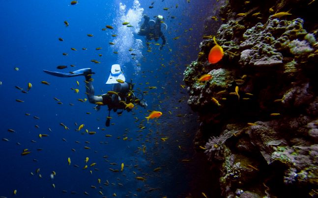 Scuba Diving ocean activities