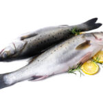 Chilean Sea Bass: Why Is It So Special?