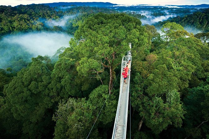Monteverde Cloud Forest Reserve 