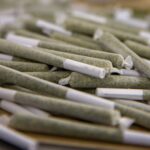 A Guide on How to Buy and Use Pre-Rolls Today