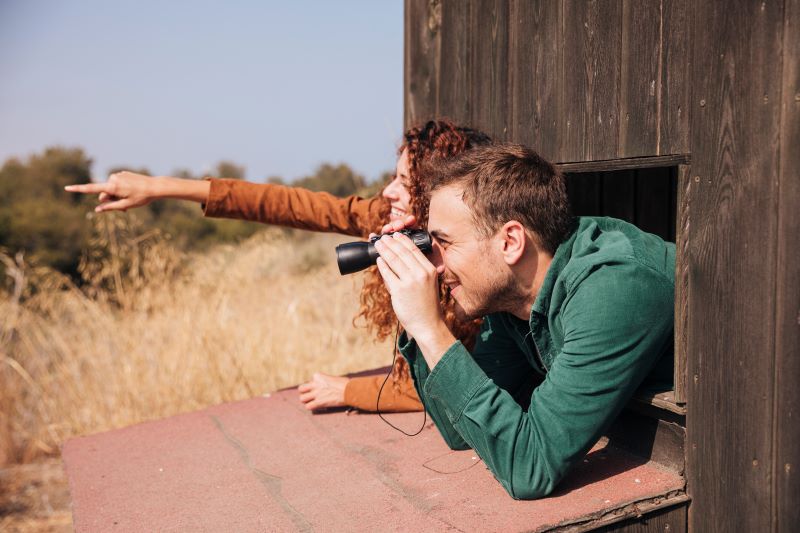 bird watching
