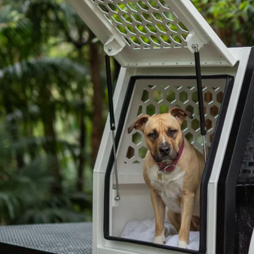 Canine Travel Enclosures