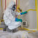 Mould Remediation Services – Questions to ask