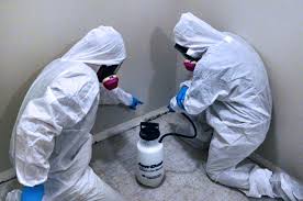 Important Questions to Ask When Hiring Mould Remediation Services