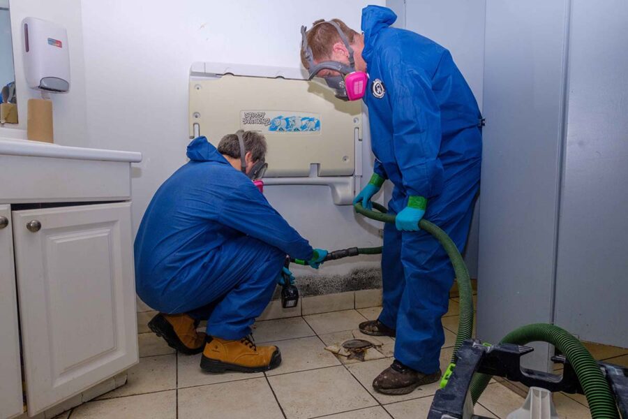 Important Questions to Ask When Hiring Mould Remediation Services Important Questions to Ask When Hiring Mould Remediation Services