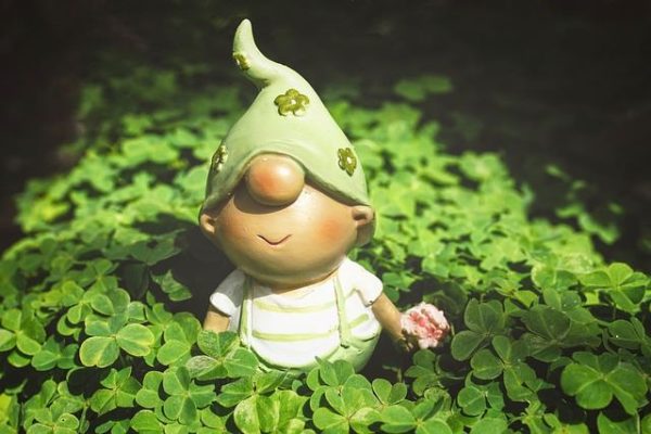 Why Are Four Leaf Clovers Lucky?: Busting the Myths, Revealing the Facts