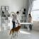 10 Tips for Moving with a Pet