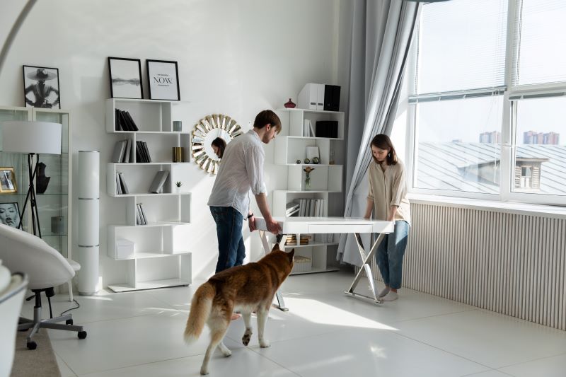 Moving with a Pet