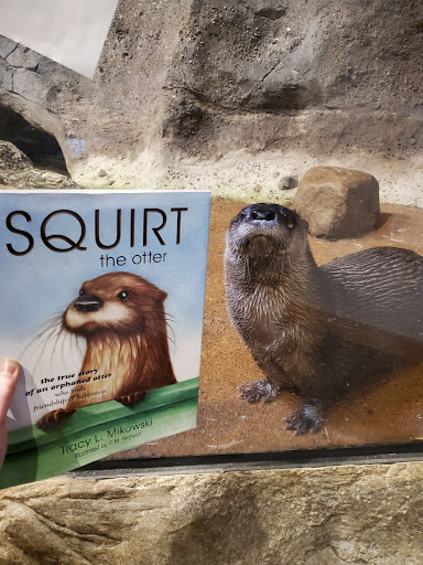 Squirt the otter