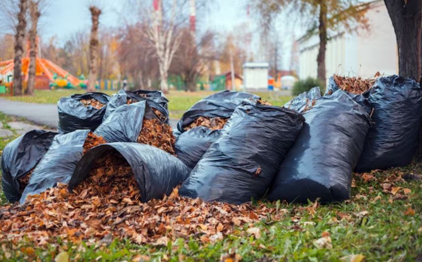 yard debris