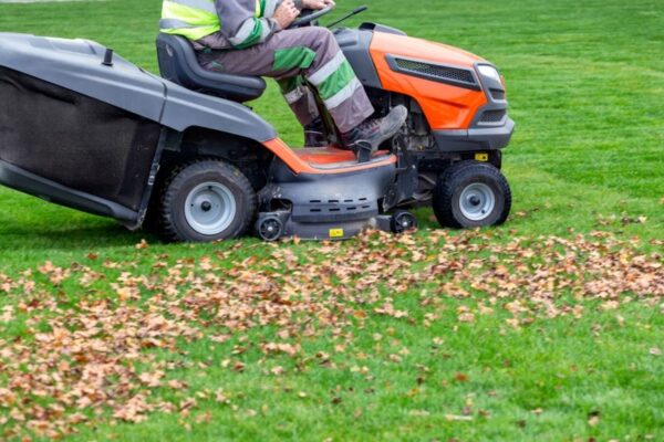 How to Get Rid of Yard Debris