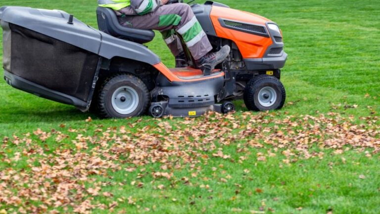 Yard Debris