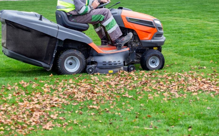 How to Get Rid of Yard Debris