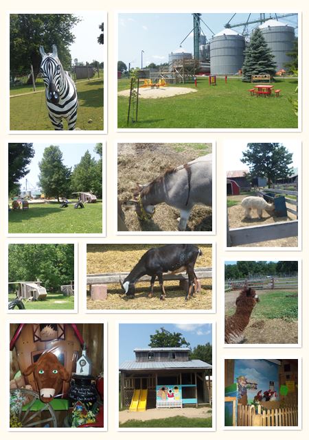 Valleyview Little Animal Farm