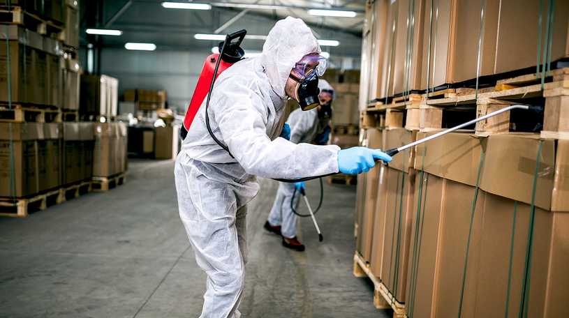 Commercial Pest Control: Keeping Your Business Pest-Free