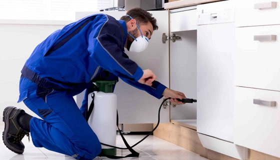 Commercial Pest Control: Keeping Your Business Pest-Free