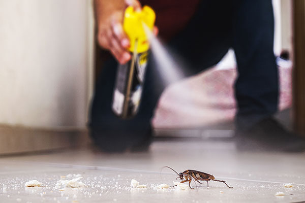 Commercial Pest Control: Keeping Your Business Pest-Free