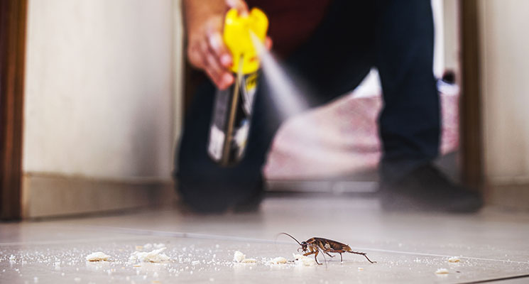 Commercial Pest Control: Keeping Your Business Pest-Free