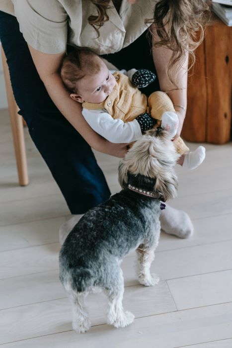 Woman with baby and dog