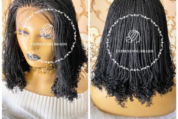 Exploring the Versatility and Charm of Braided Wigs