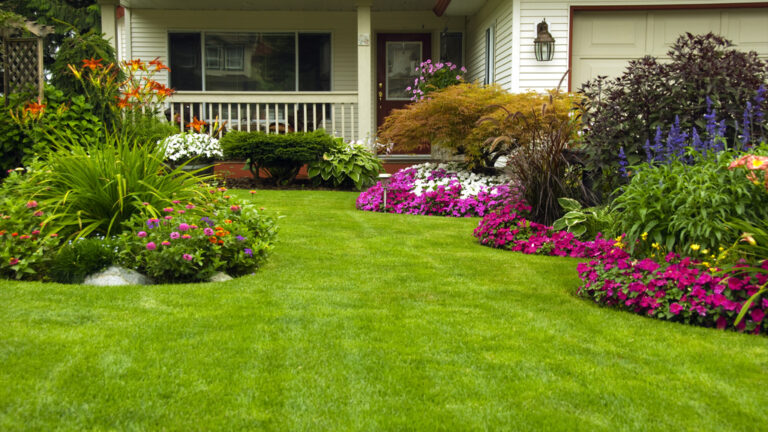 Curb Appeal flat front house