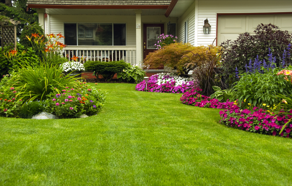 Curb Appeal flat front house