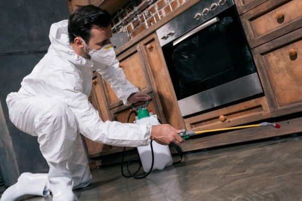 Selecting The Right Pest Exterminator Near You