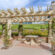 How Pergolas Have Evolved Throughout History